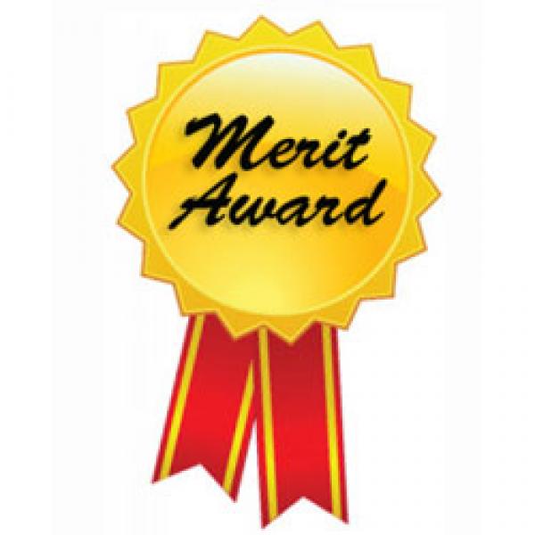 Merit Awards